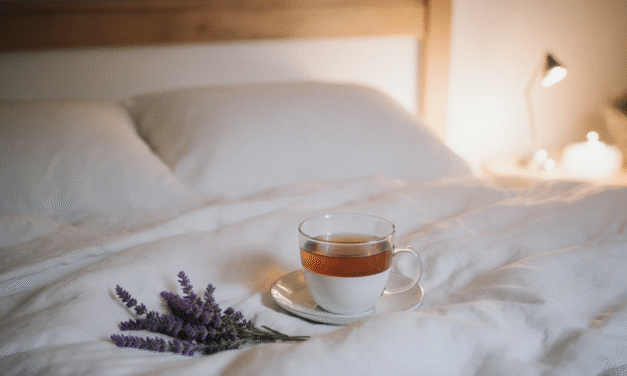 Sleep Support 101: Natural Ingredients That Really Work